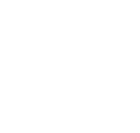 100% Testing Logo BPZS Bauteilprüfzentrum Scheller GmbH