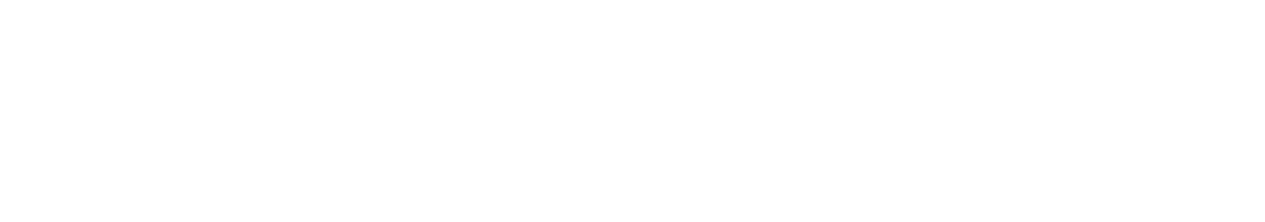 BPZS Logo weiß